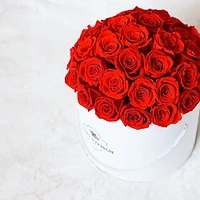 Superdome Prestige Rose Bucket