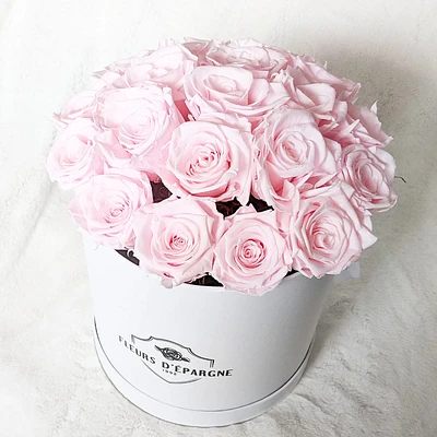 Sweetheart Bucket
