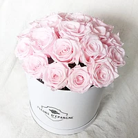 Sweetheart Bucket