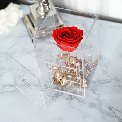 Endless Love Purest Crystal Box
