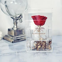 Endless Love Purest Crystal Box