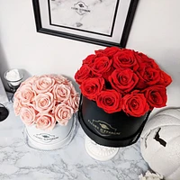 Prestige Rose Bucket