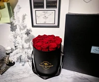 Elegance Classic Rose Bucket