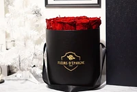 Elegance Classic Rose Bucket
