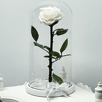 Eternity Rose Enchanted Glass Dome