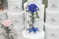 Eternity Rose Enchanted Glass Dome