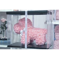 Original Rose Puppy
