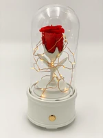 Enchanted Music Box