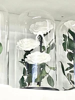 Eternity 3-in-1 Rose Enchanted Glass Dome