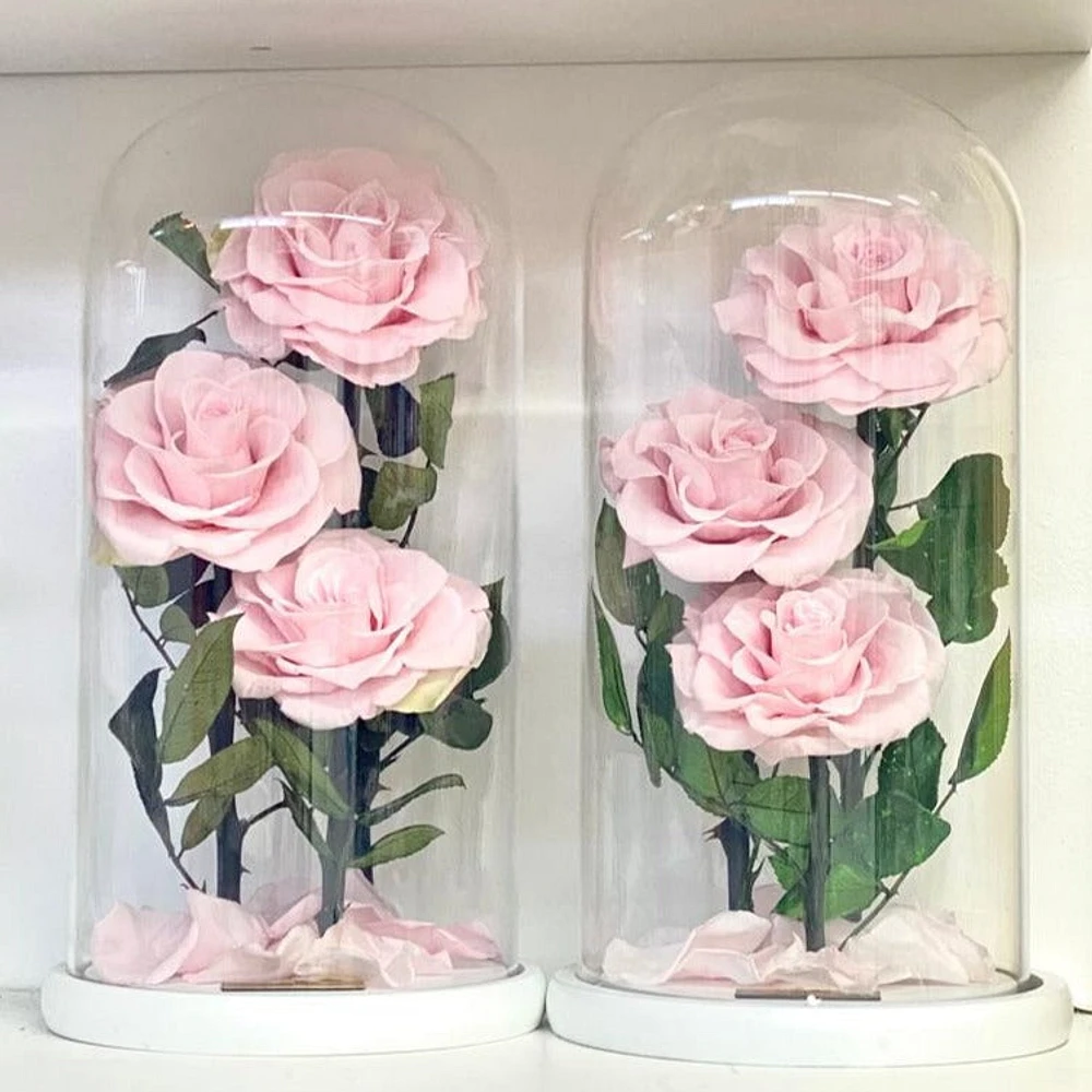 Eternity 3-in-1 Rose Enchanted Glass Dome