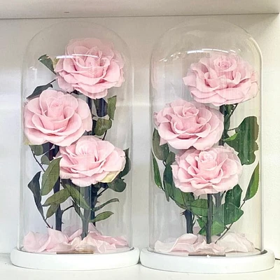 Eternity 3-in-1 Rose Enchanted Glass Dome