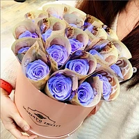 Money Rose Bucket