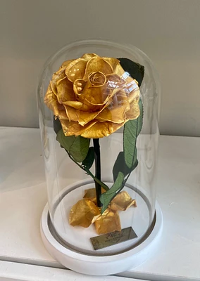 Medium Enchanted Glass Dome (Guildford Location Only)