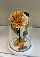 Medium Enchanted Glass Dome (Guildford Location Only)