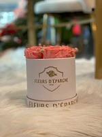 Luxe Round Rose Bucket