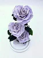 Eternity 3-in-1 Heart Rose Enchanted Glass Dome