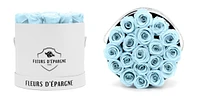 Elegance Prestige Rose Bucket