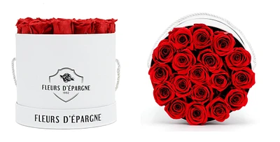 Elegance Prestige Rose Bucket