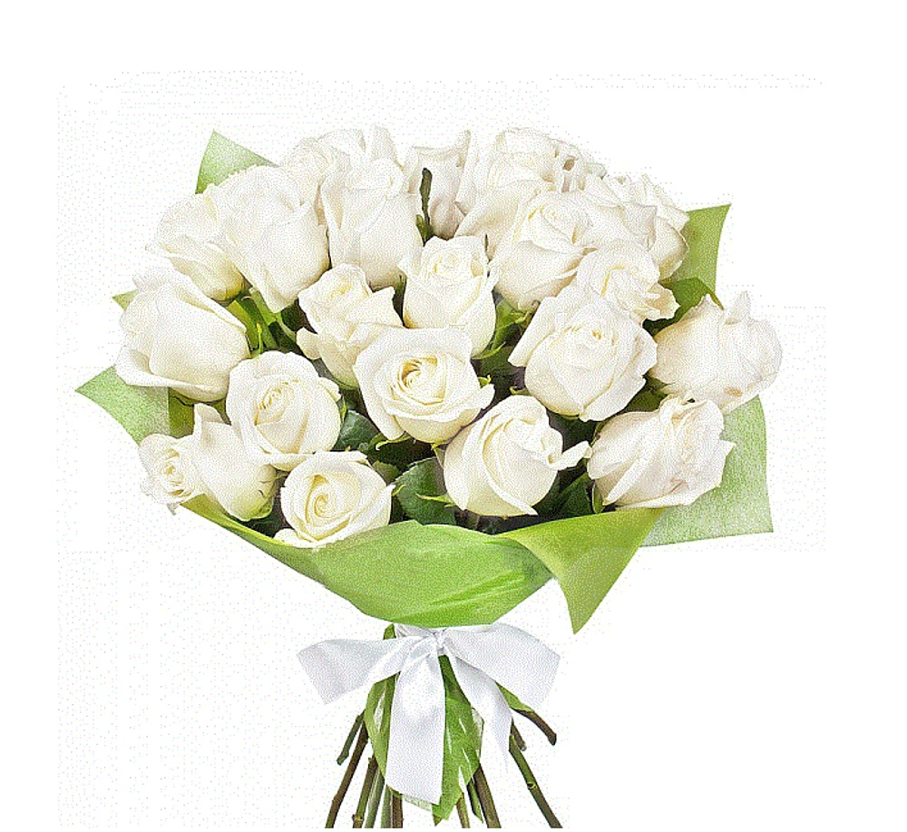 Pure Blooms-Fresh Flowers
