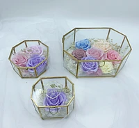 Fairytale Oval Hexagon Terrarium