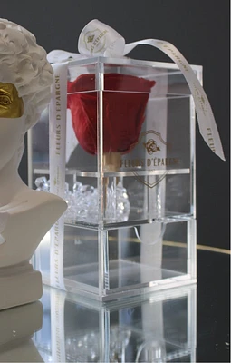 Luxe Crystal Rose Vanity