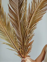 Large Dried Leaves - Bunch of 5