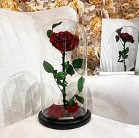 Eternity Rose Enchanted Glass Dome