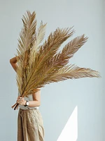 Large Dried Leaves - Bunch of 5