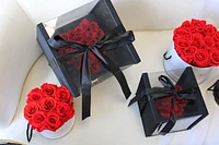 Heart Case Box-Large