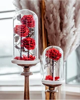 Eternity 3-in-1 Rose Enchanted Glass Dome