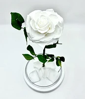 Enchanted Rose in Glass Dome