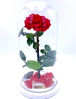 Enchanted Rose in Glass Dome