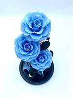 Eternity 3-in-1 Rose Enchanted Glass Dome