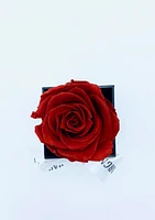 One Love Acrylic Box