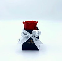 One Love Acrylic Box