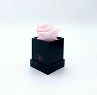 One Love Acrylic Box