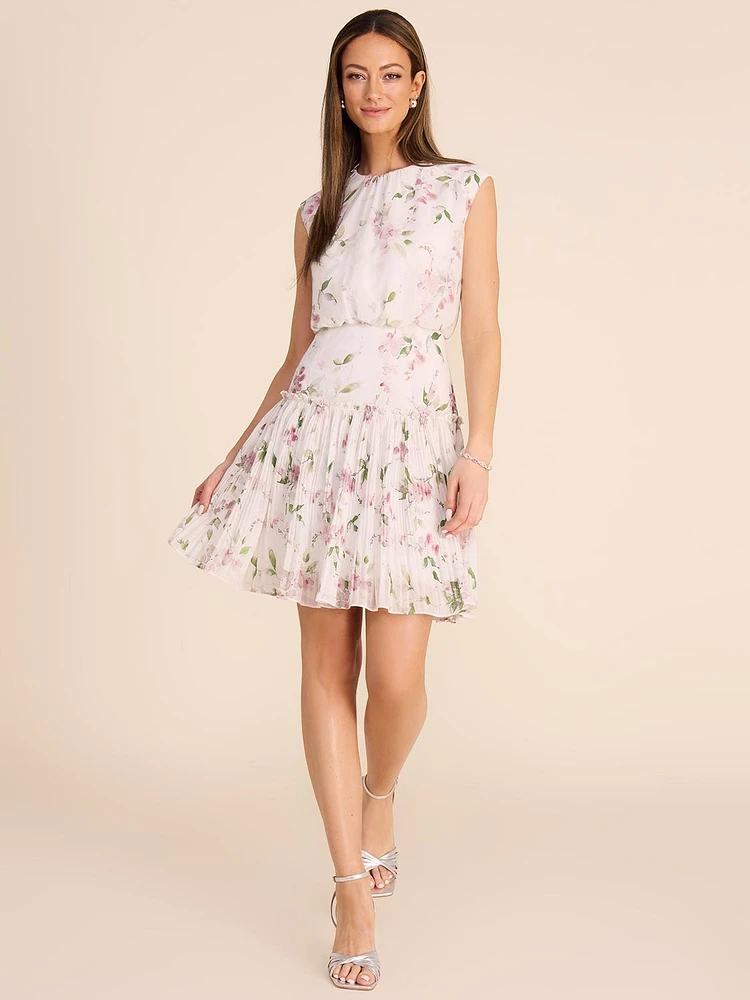 Floral Chiffon A-Line Dress