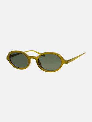 Classroom Sunglasses