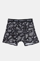 Zoo York Mens Paisley Print Boxer Brief