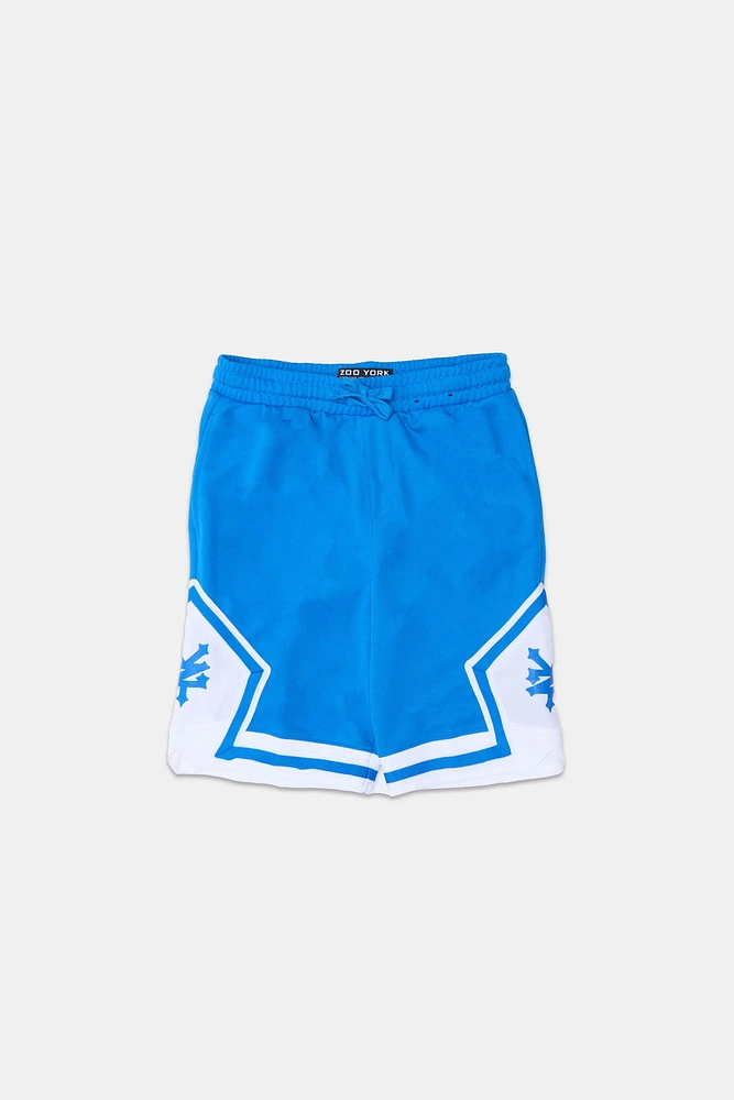 Zoo York Youth Mesh Basketball Shorts