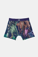 Youth Jurassic World Dinosaur Boxer Brief