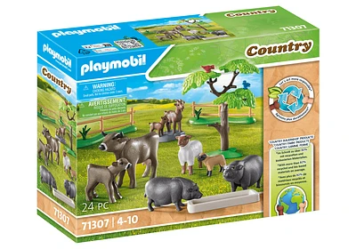 Country - Farm Animal Set