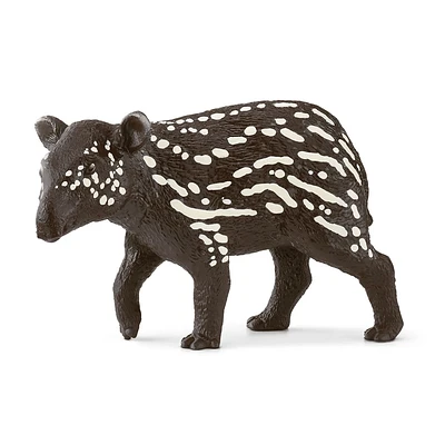 Tapir, Baby