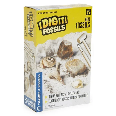 I Dig It! Fossils - Real Fossils Excavation Kit