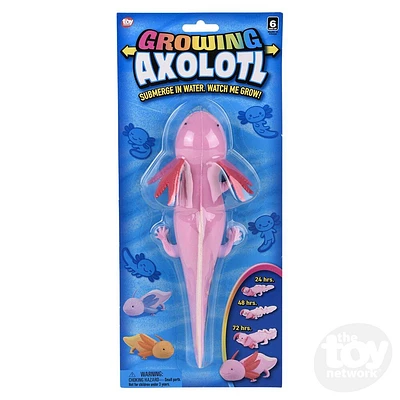 9" Growing Axolotl