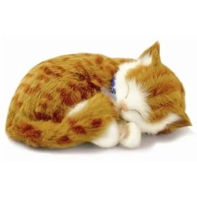 Perfect Petzzz Orange Tabby Kitten