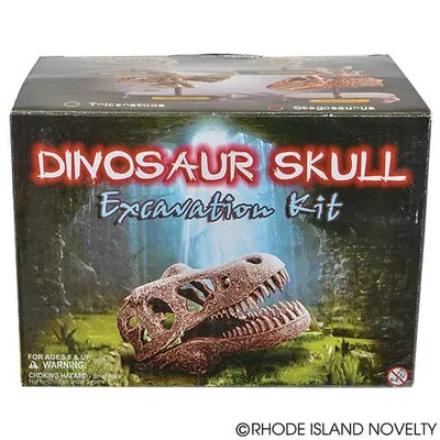 6.5" Dinosaur Skull Excavation Dig Kit Stegosaurus