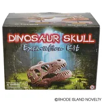 6.5" Dinosaur Skull Excavation Dig Kit Stegosaurus