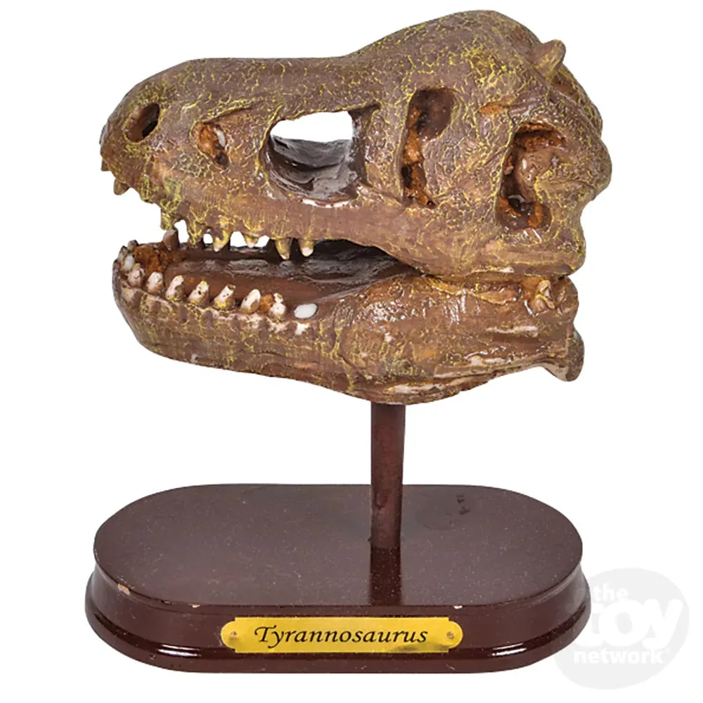 6.5" Dinosaur Skull Excavation Dig Kit T-Rex