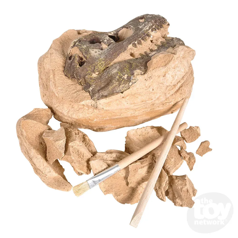 6.5" Dinosaur Skull Excavation Dig Kit T-Rex